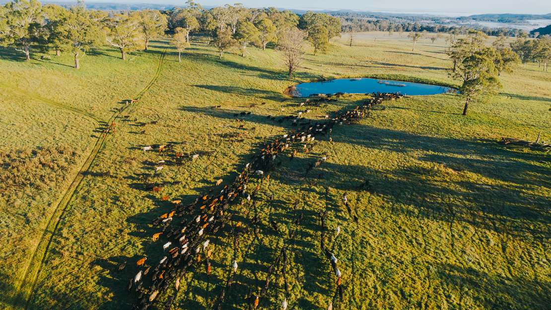 ASBF annual update shows carbon emissions falling