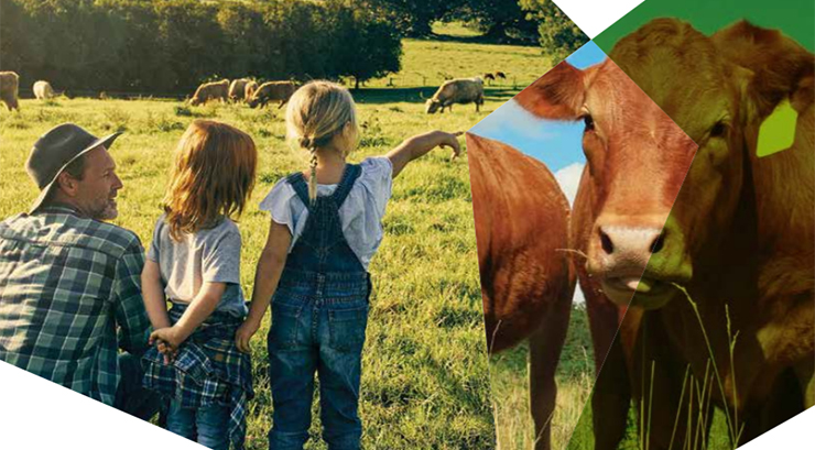 <strong>Beef</strong> industry reports progress on <strong>sustainability</strong>, calls for rational, evidence-based debate