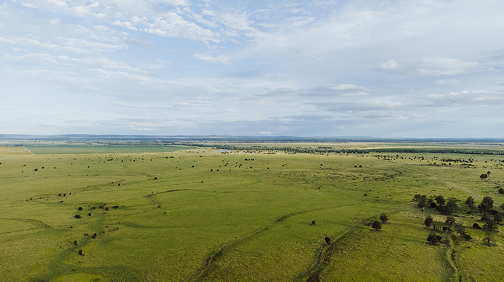 Contributing to sustainability through organic farming