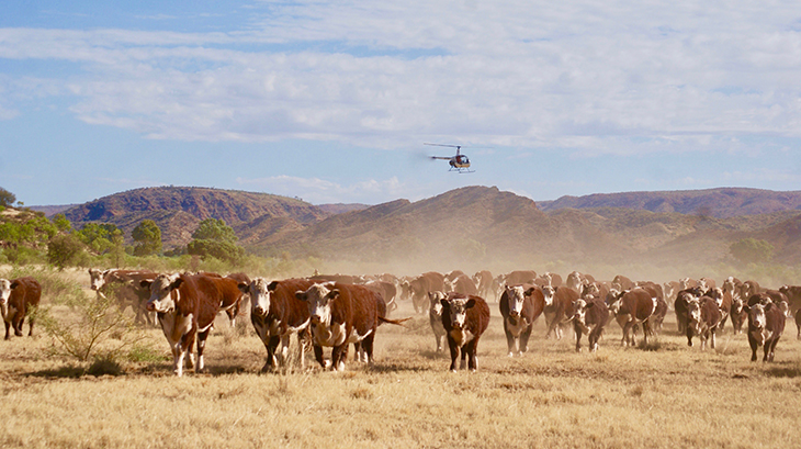 2023 Annual Update to reveal new sustainability goals for the beef industry