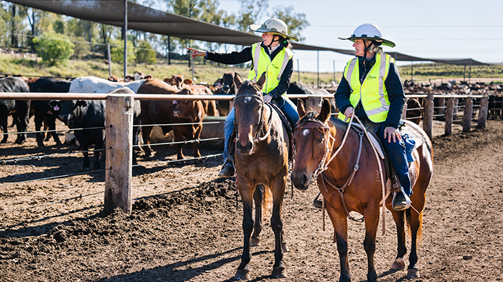 Feedlot TECH nurtures capable, high-performing teams