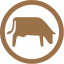 Best Animal Care