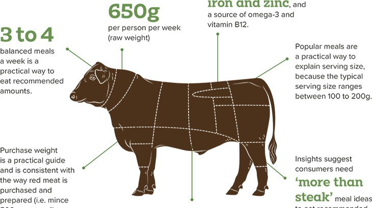 The ABSF Explained: Nutrition