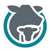 Global Roundtable for Sustainable Beef